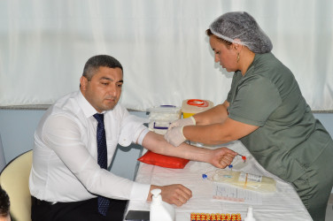 Naftalanda qanvermə aksiyası keçirilib