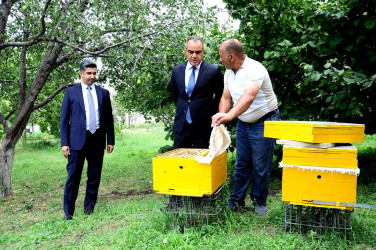 "Qaşaltı Bağları"na baxış keçirilib