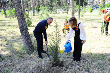 Ulu Öndərin 102 illiyi münasibətilə tədbir keçirilib