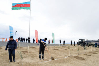 Tree planting action held in Naftalan within the framework of “Year of Heydar Aliyev”