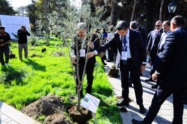 The International Scientific-Practical Conference has started in Naftalan