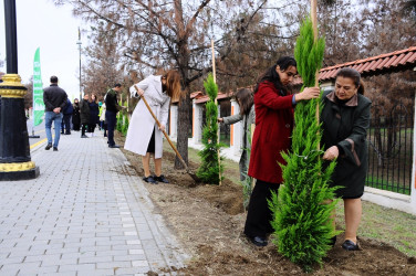 A tree planting action was held in Naftalan