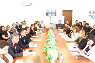 Məişət zorakılığının qarşısının alınması sahəsində monitorinq və əlaqələndirmə qruplarının növbəti təlimi keçirilib