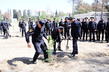 Ulu Öndərin 100 illik yubileyinə həsr olunmuş ağacəkmə aksiyası keçirilib