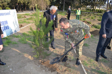 “Zəfər Səlnaməsinin 5 ili”