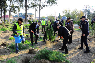 “Zəfər Səlnaməsinin 5 ili”