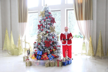 Preparations for the new year have been completed at tourism enterprises in Naftalan