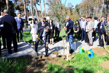 Naftalanda Beynəlxalq Elmi-Praktik Konfrans işə başlayıb