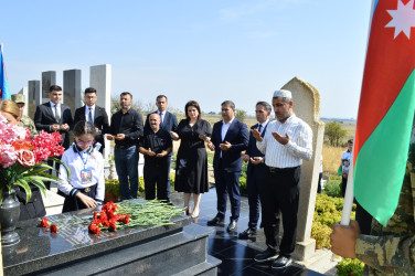 Silsilə tədbirlər davam edir