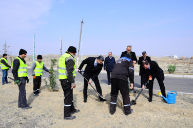 Tree planting action was held in Naftalan on the first day of Spring