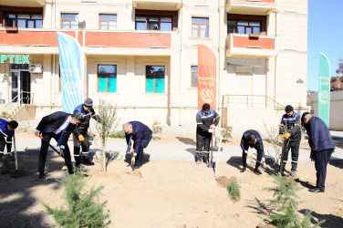 A tree-planting action dedicated to the 100th anniversary of the Great Leader was held