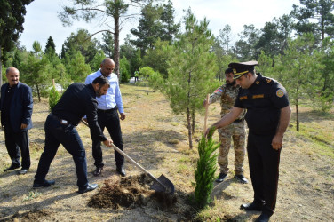 Naftalanda 27 sentyabr Anım Günü tədbiri keçirilib