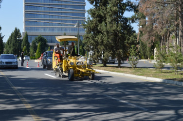В Нафталане проведён общегородской субботник