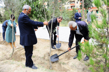 Tree planting action held in connection with Memorial Day