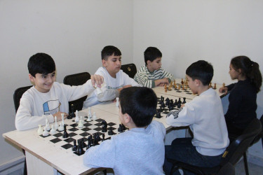 Chess tournament held in Naftalan