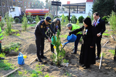 “Zəfər Səlnaməsinin 5 ili”