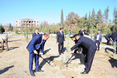 27 sentyabr - Anım Günü Naftalanda qeyd edilib