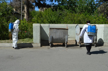 В городе проведены работы по благоустройству и санитарной очистке