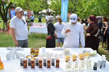 Infotour organized to Gashalti Gardens