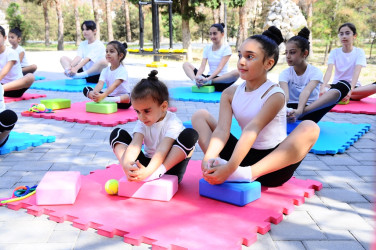 “Yaşıl dünya naminə həmrəylik ili” çərçivəsində növbəti tədbir keçirilib