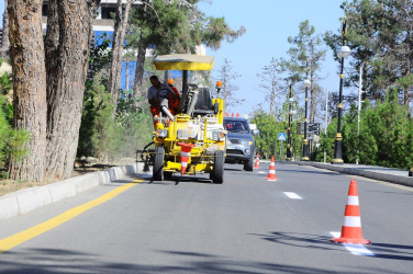 A citywide Subbotnik was held in Naftalan