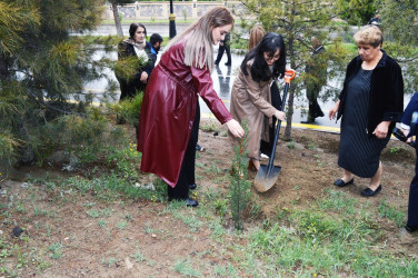 “Heydər Əliyev İli” çərçivəsində ağacəkmə aksiyası keçirilib