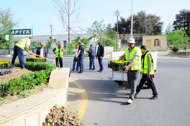 Yaşıllaşdırma işləri davam etdirilir