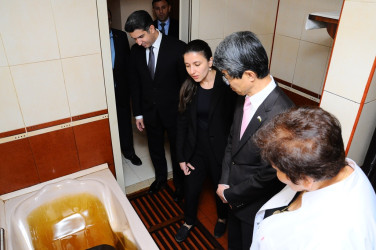 The Japanese ambassador visited Naftalan