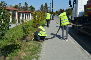 Naftalanda ağacəkmə və abadlıq işləri aparılır