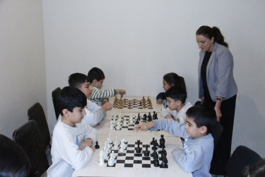 Chess tournament held in Naftalan