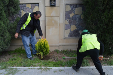 Naftalanda beynəlxalq yarışa hazırlıq işləri davam etdirilir