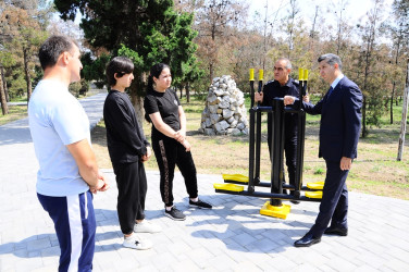 Naftalan parklarında yeni idman qurğuları