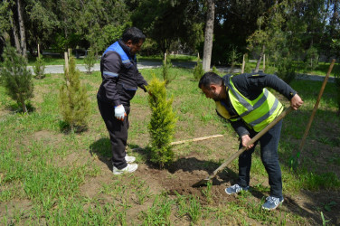 Preparations for international competitions continue in Naftalan