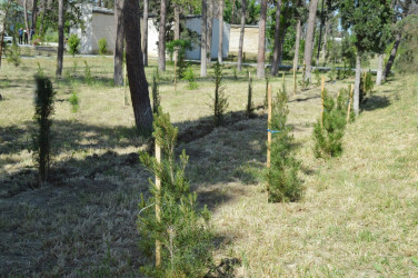 Ulu Öndərin 102 illiyi münasibətilə tədbir keçirilib