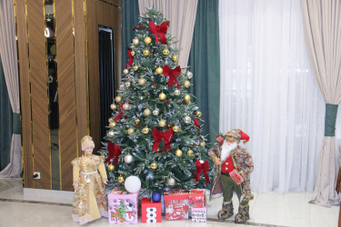 Preparations for the new year have been completed at tourism enterprises in Naftalan