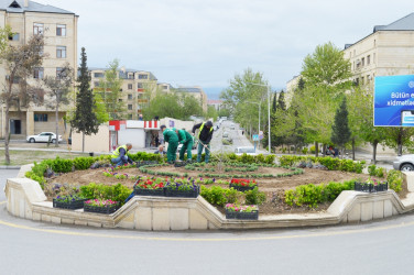 Another tree planting action was held within the framework of the” year of Constitution and sovereignty"