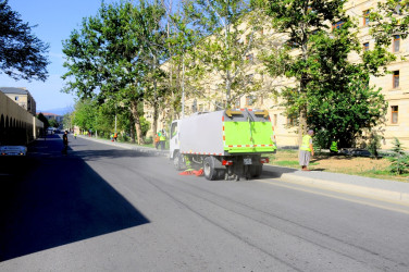 A citywide Subbotnik was held in Naftalan