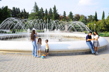 Naftalan parklarında sosial layihə