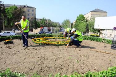 Yaşıllaşdırma işləri davam etdirilir