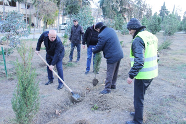 Another tree planting action was held in Naftalan