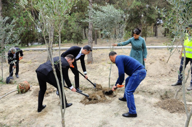 Tree planting action held in connection with Memorial Day