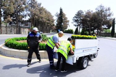 Yaşıllaşdırma işləri davam etdirilir