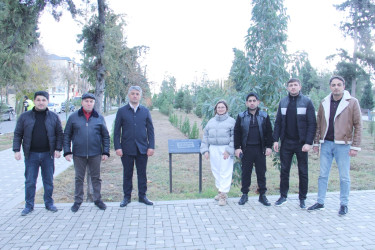 Another tree planting action was held in Naftalan