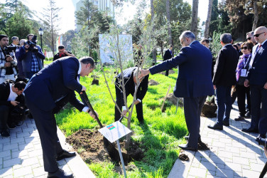 The International Scientific-Practical Conference has started in Naftalan