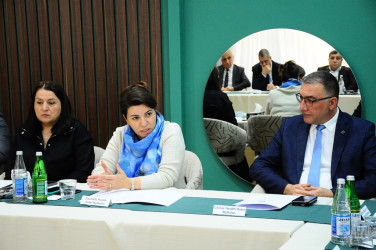 Turizm şəhərinin inkişafında sahibkarlığın rolu