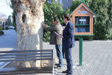 Green areas inventory in Naftalan