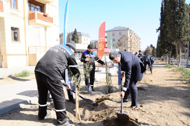 A tree-planting action dedicated to the 100th anniversary of the Great Leader was held