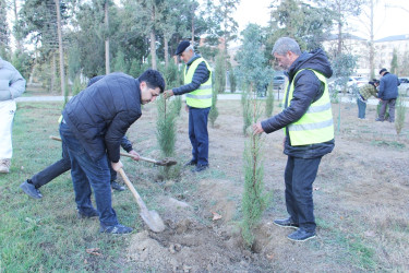 Another tree planting action was held in Naftalan