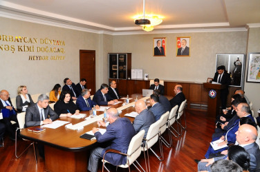 Council meeting was held under the head of the city Executive Power