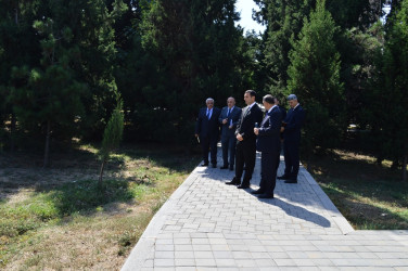 The head of the executive power inspected the parks